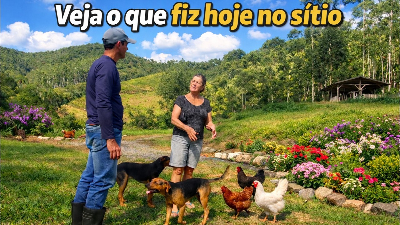 VEJA O QUE FIZ HOJE NO SÍTIO NOVO