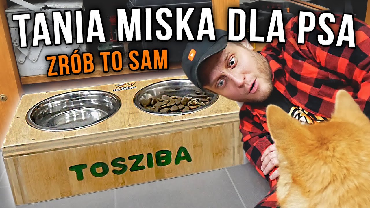 Bambusowa miska dla psa z odzysku, jak zrobić miskę dla psa? - Fox Corner