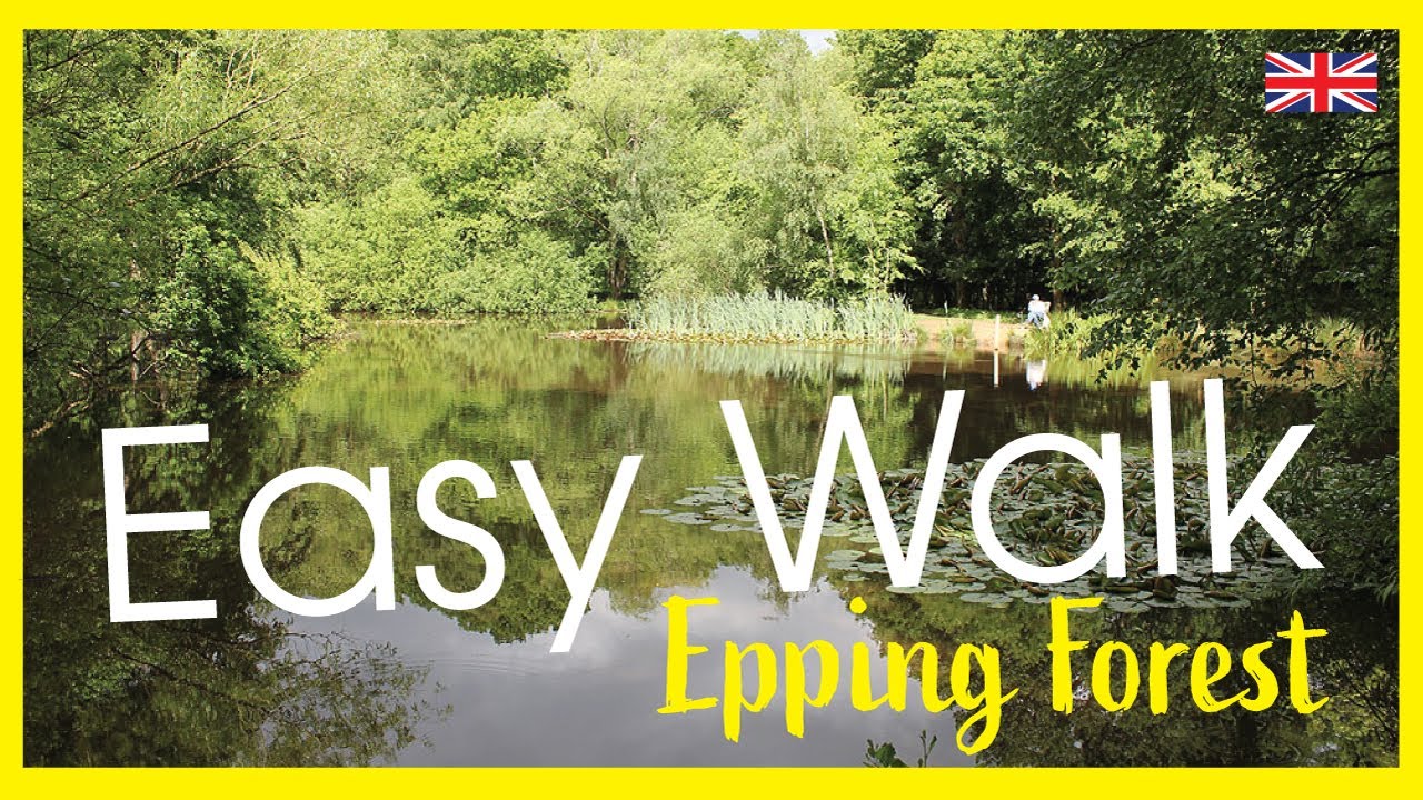 Discover the Hidden Secrets of Epping Forest | London Walk