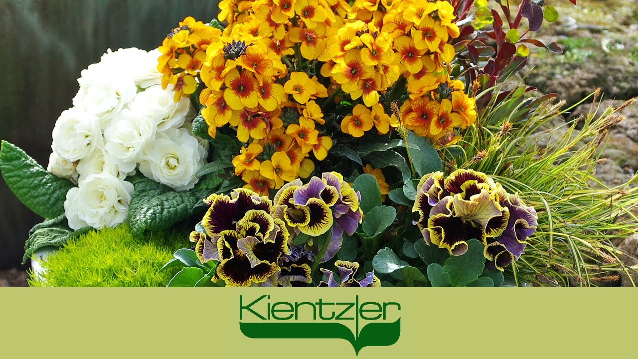 Dekorieren im Frühling: Terrasse & Hauseingang mit Lenzleuchten bepflanzen
