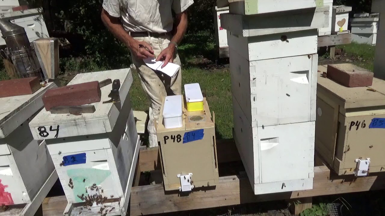 Weekly Intermediate Series ( week 25 )