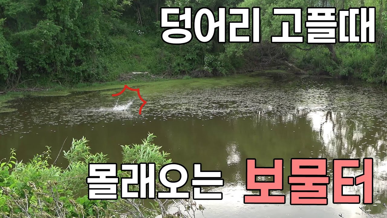덩어리 고플때 몰래 가보는 나만의 보물터 붕어낚시