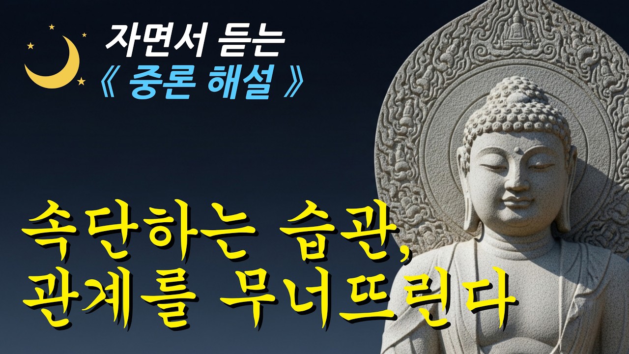✨ 잠잘 때 듣는, 단정이 만든 갈등의 원인 한눈에 정리ㅣ중론ㅣ부처님 말씀ㅣ오디오북