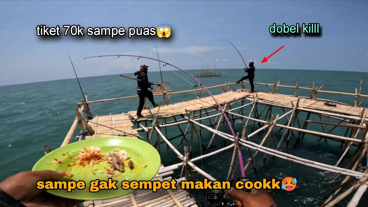 Cuma 70k!! Mancing sampai tidak sempat makan ikan nyerang bertubi-tubi 🥵