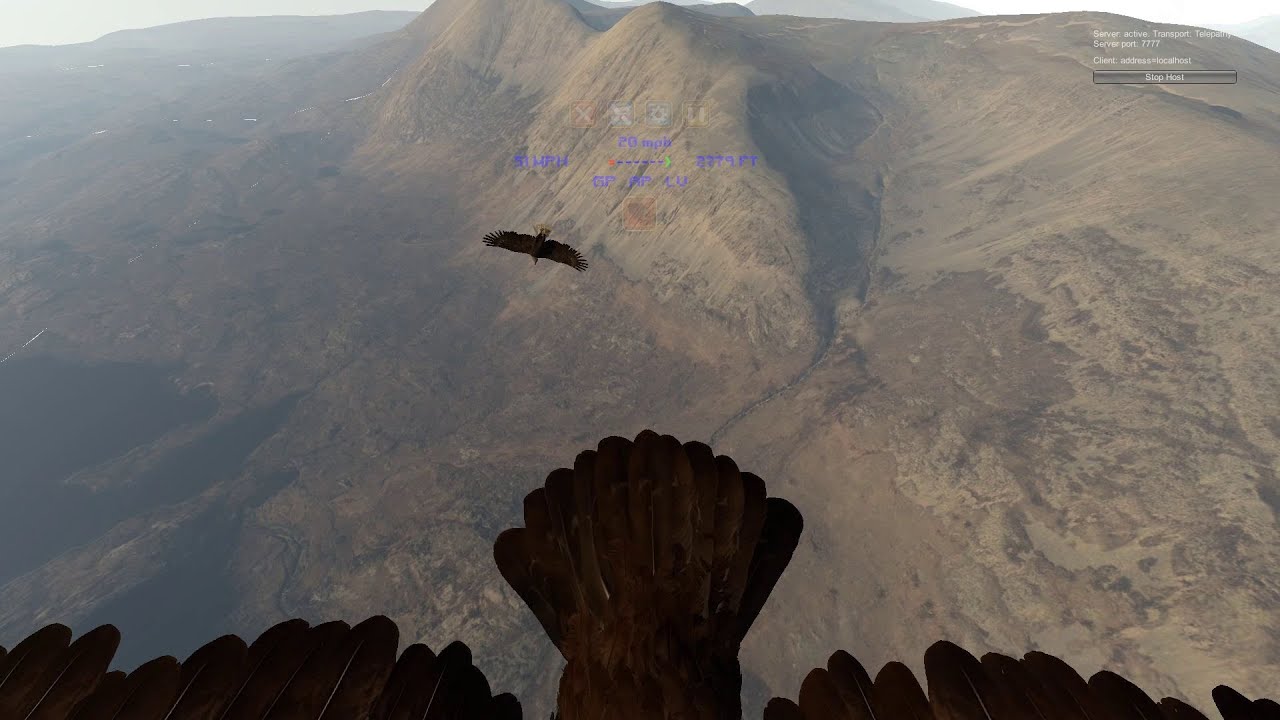 Multiplayer Test - Aquila Bird Flight Simulator
