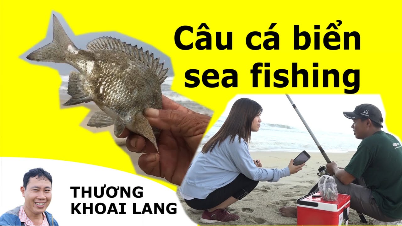 Câu cá biển sóng to cá cắn câu sướng tê người | sea fishing