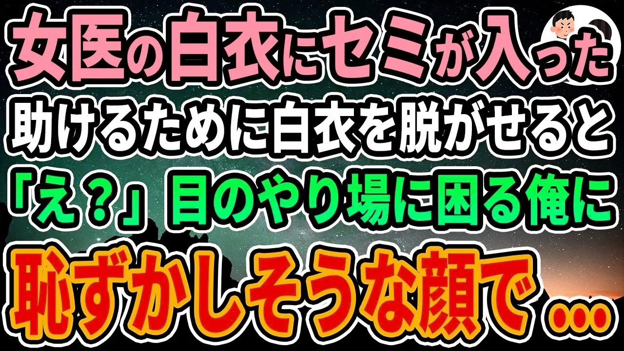 【感動する話】女医の白衣にセミが入ったので助けるために白衣を脱がせると「え？」目のやり場に困る俺に恥ずかしそうな顔で...【馴れ初め】