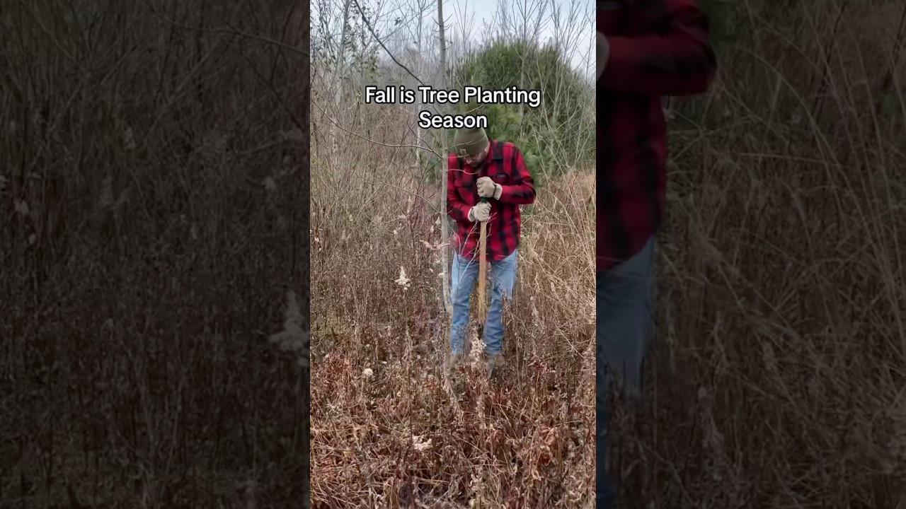 Fall is Tree Planting Season