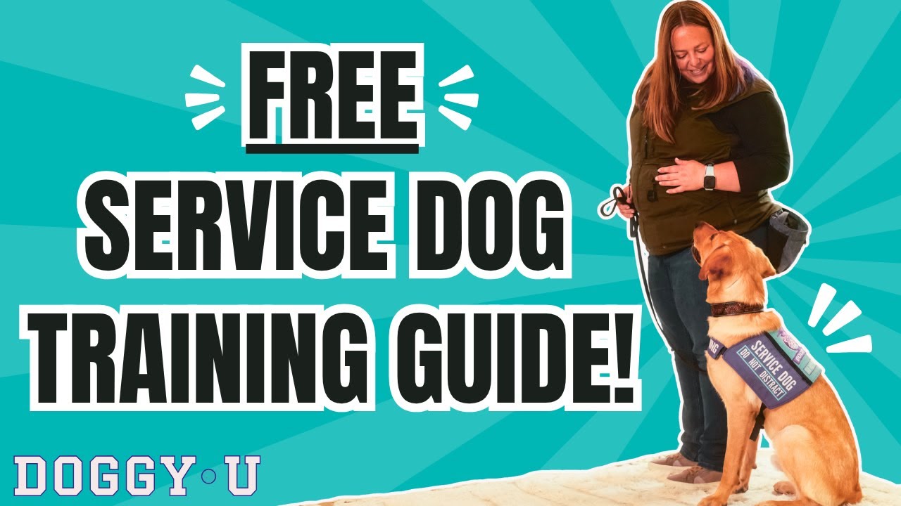 Complete Guide to Training Your Own Service Dog!