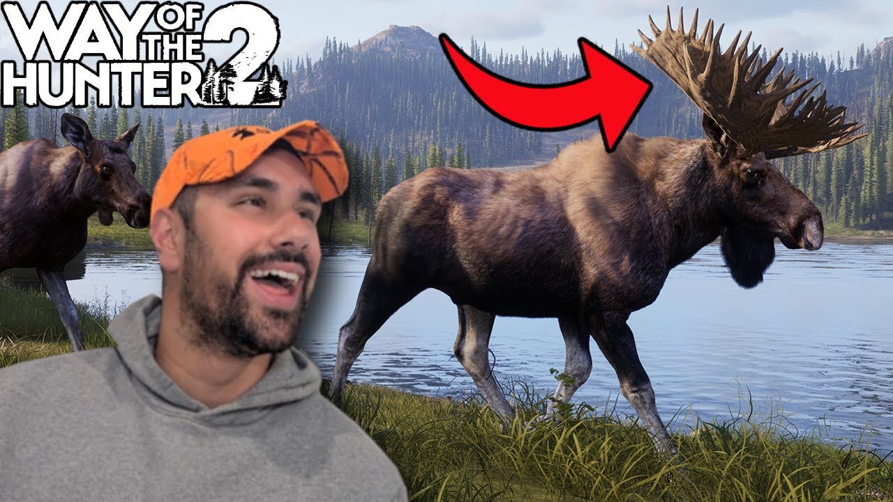 Это безумие для Way of the Hunter 2.