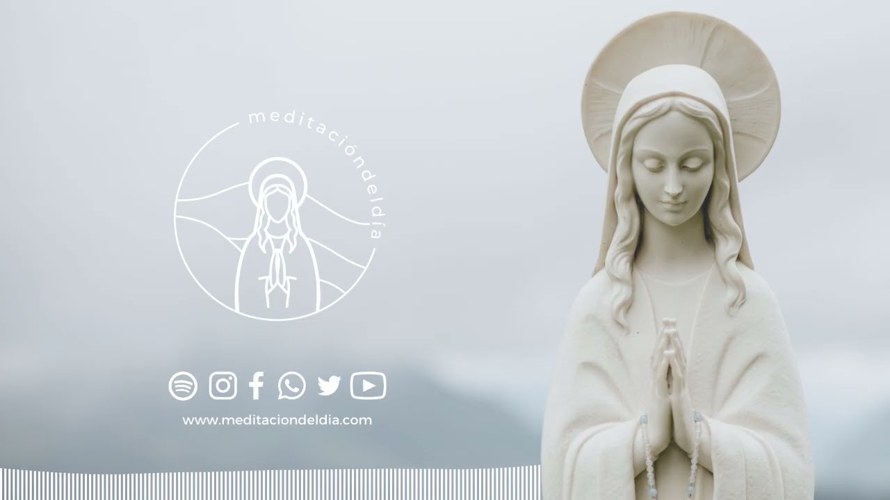 Meditación del Día | Jueves 15 de enero del 2026. Si tu quieres, cúrame Señor.