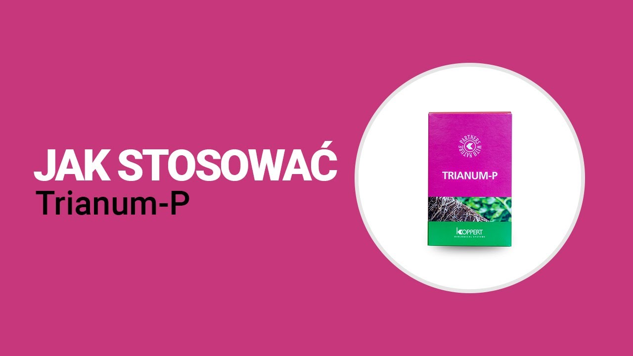 Jak używać Trianum-P firmy Koppert? | Koppert Polska