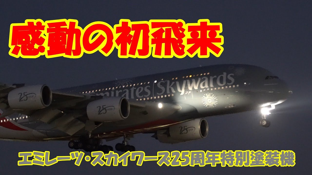 [Самолет Emirates Skywards в специальной ливрее, посвященной 25-летию компании, совершил захватыв...