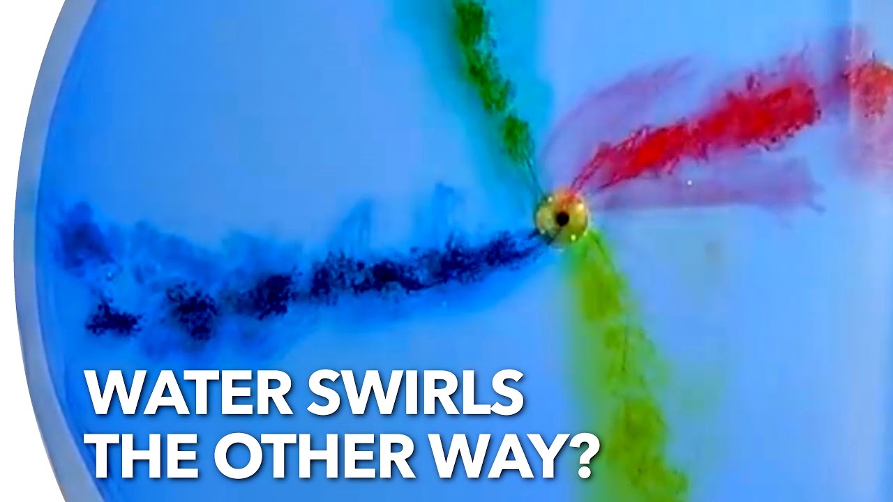 Does Water Swirl the Other Way in the Southern Hemisphere?
