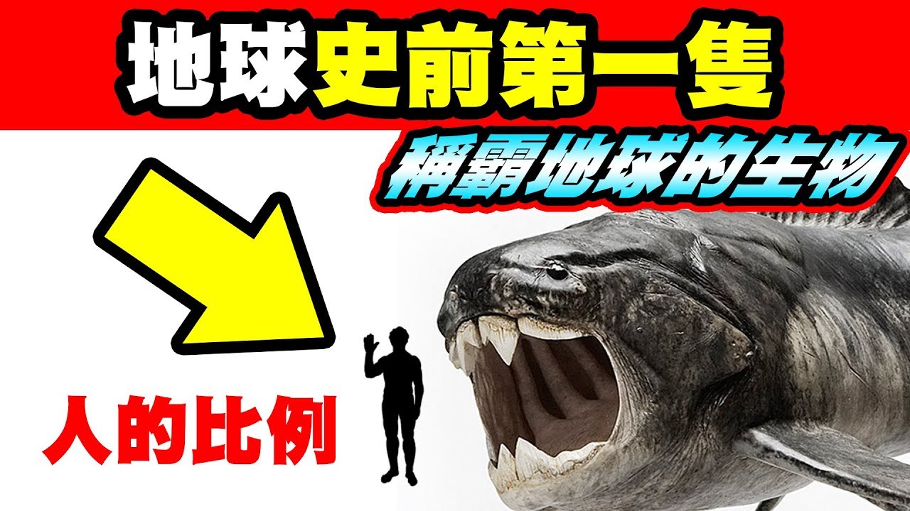 10大地球史上咬合力最強的生物｜超驚人...每一隻都能輕鬆咬穿一台小汽車！好險他們已經不存在了...不然人類就...｜上集