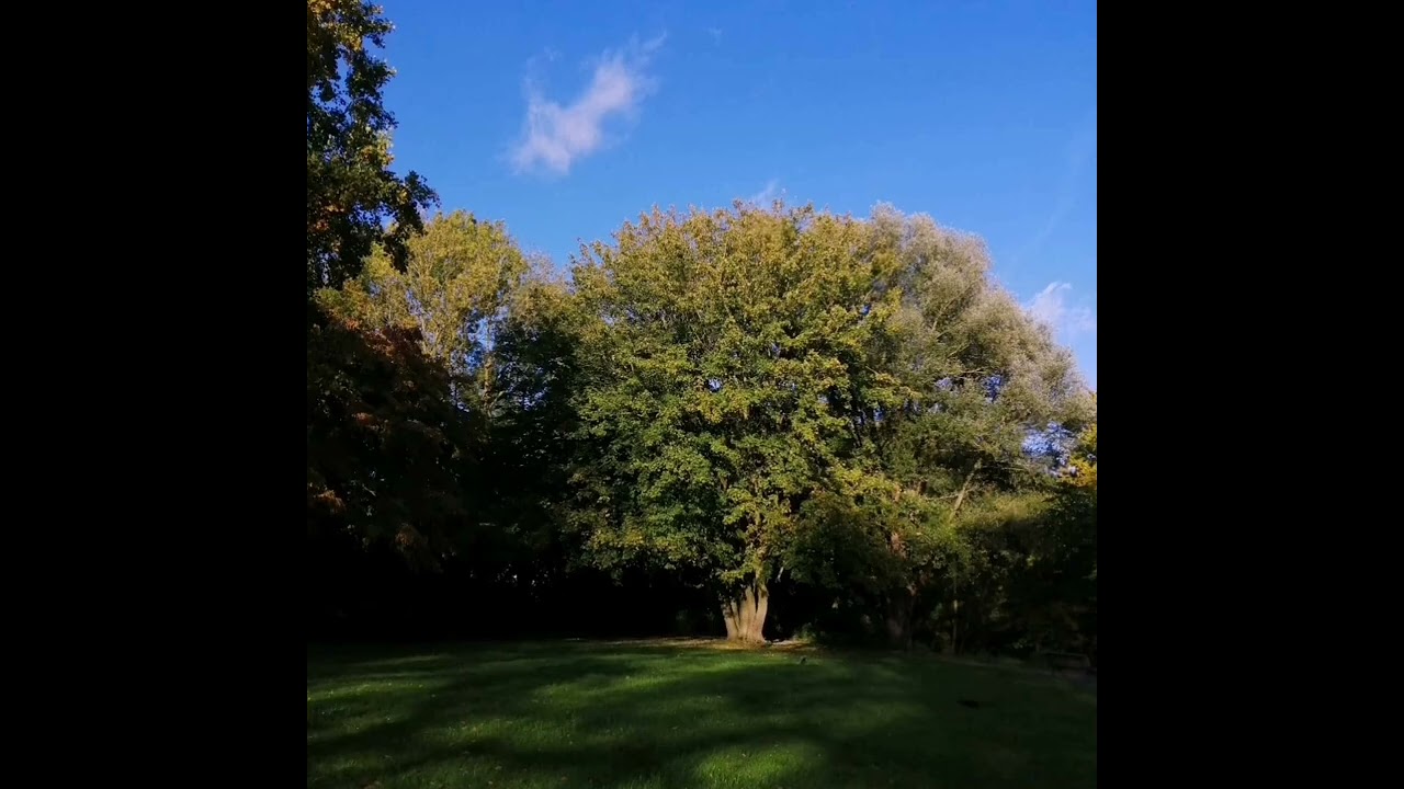 Schöpfe Kraft aus der Natur