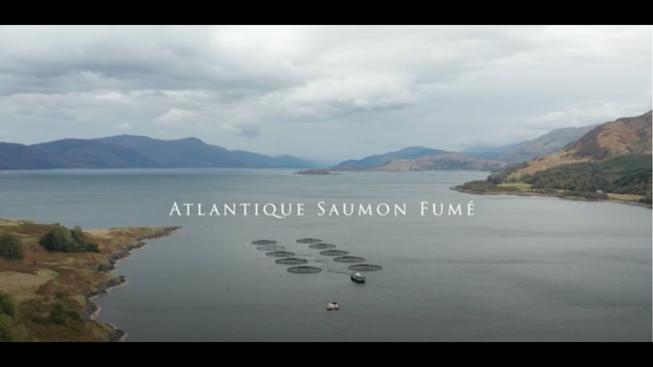 Atlantique Saumon Fumé, au fil de la Route de la BIO