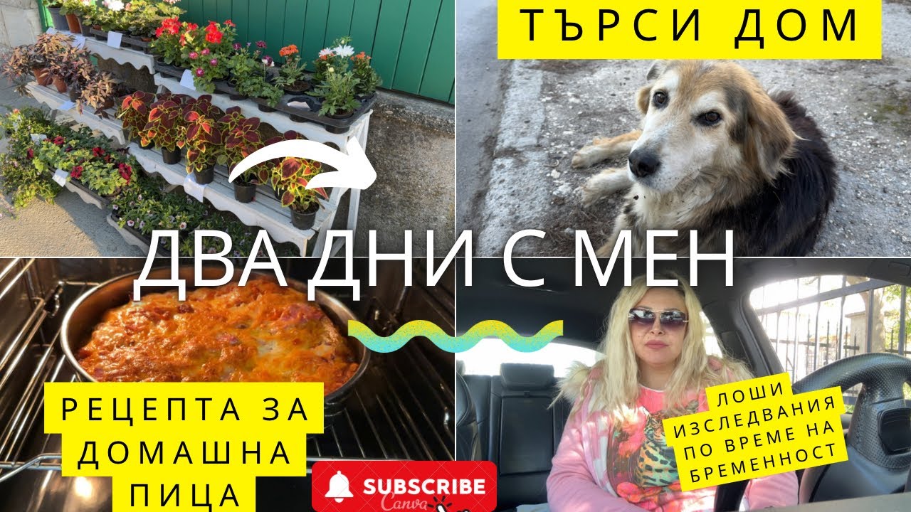 Лоши изследвания микробиология 😱 | Подарък | Рецепта за вкусна пица | Змия! | Влог № 5