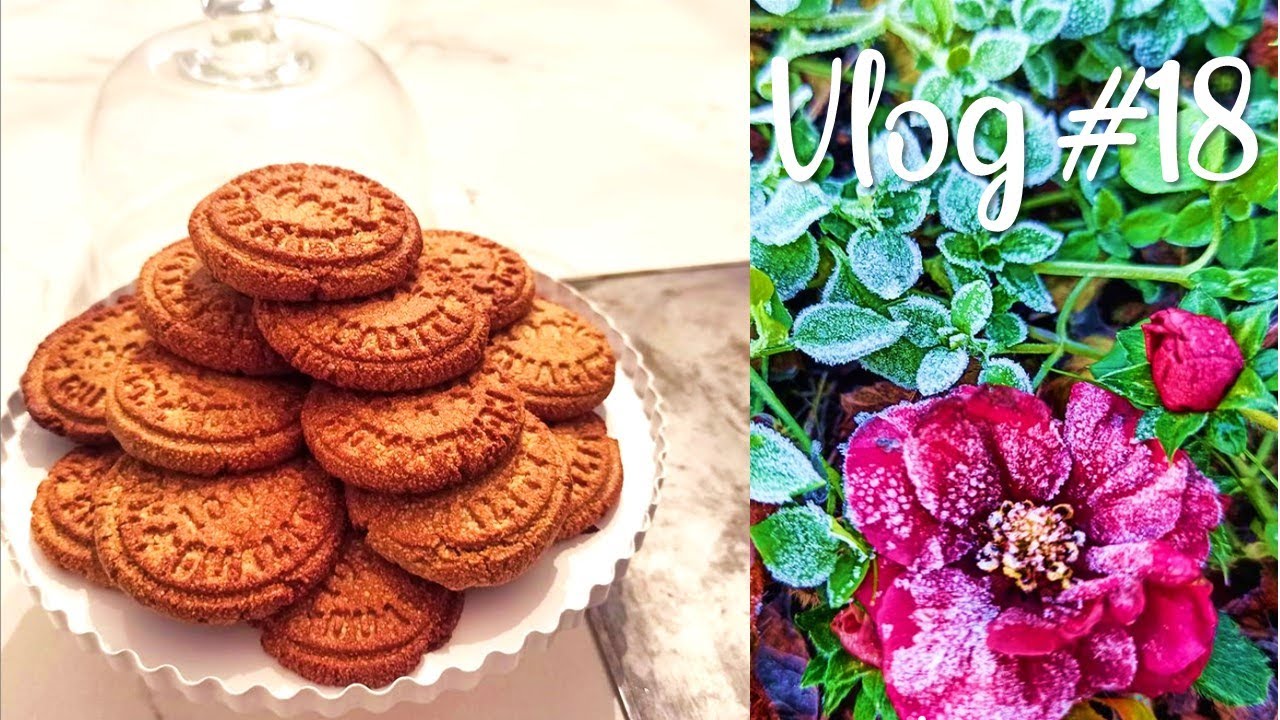 Vlog #18 - Sablés à la farine de châtaigne et premières vraies gelées !