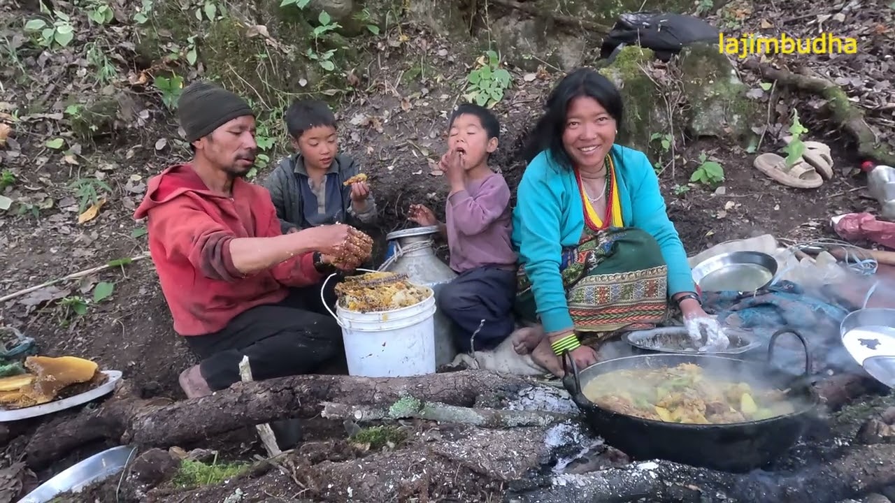 wild camping || lajimbudha ||