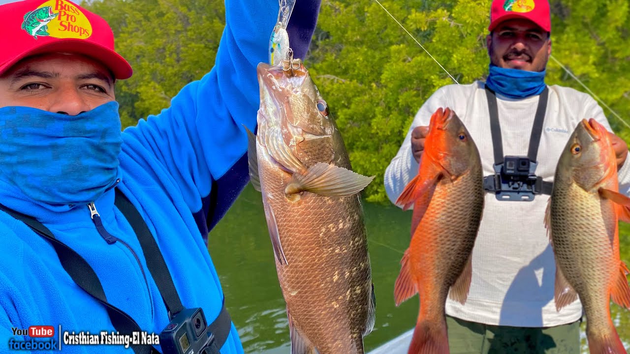 Pesca de PARGOS GIGANTES de estero