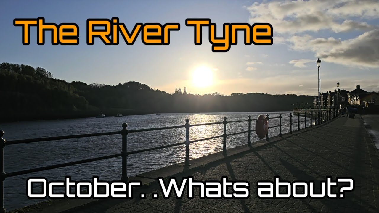 North East Sea Fishing | Urban Fishing | St Peters Basin | River Tyne | Newcastle