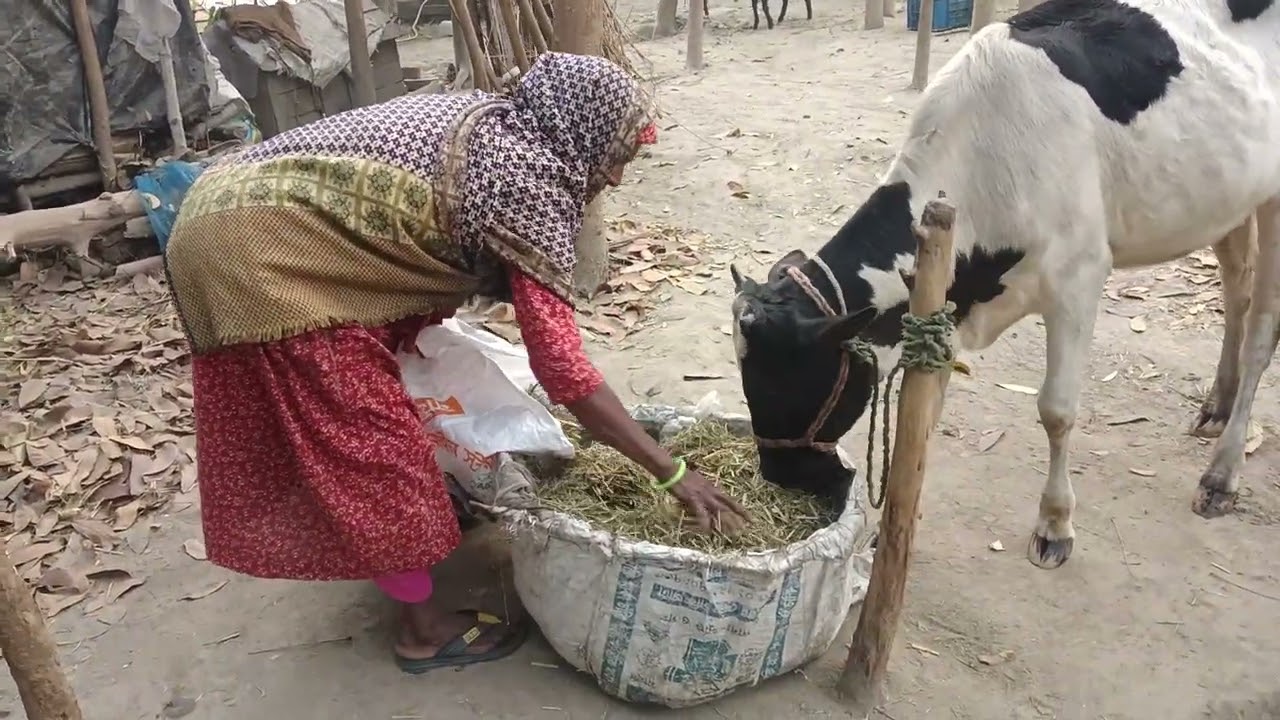 সফলতার গল্প্। #সফলতা#গল্প 