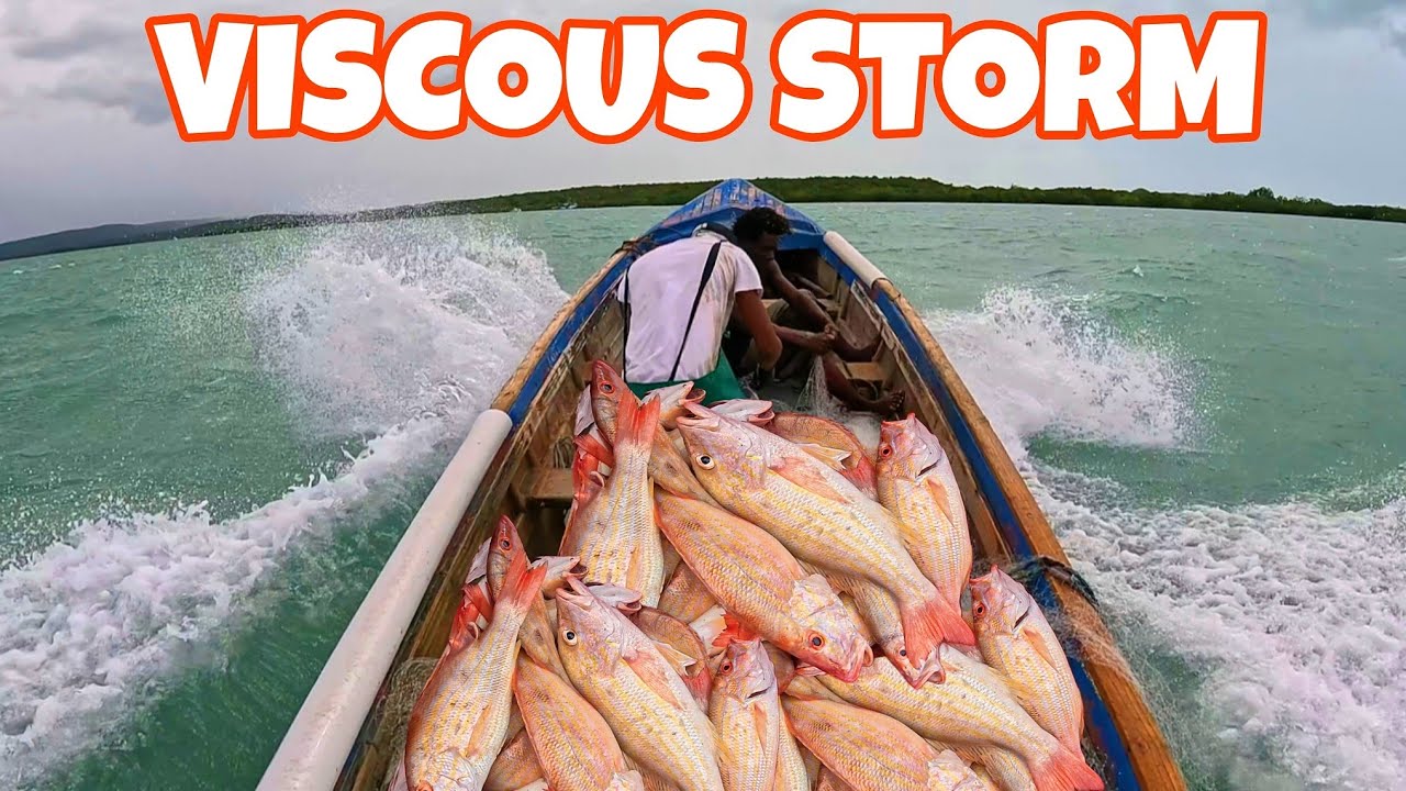 LANE SNAPPER FISHING IN RAGING STORM, WE HAD A EPIC CATCH‼️#fishing #adventure #fish #caribbean