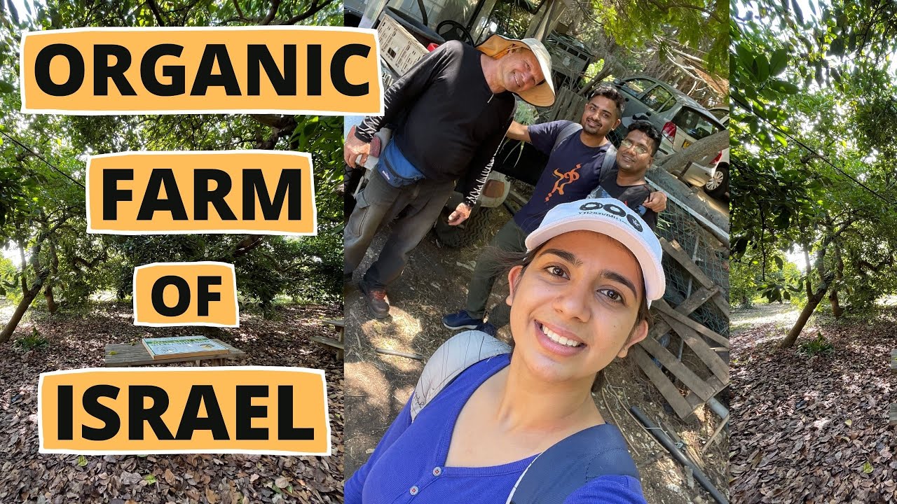 My First farm visit in ISRAEL - Part-1