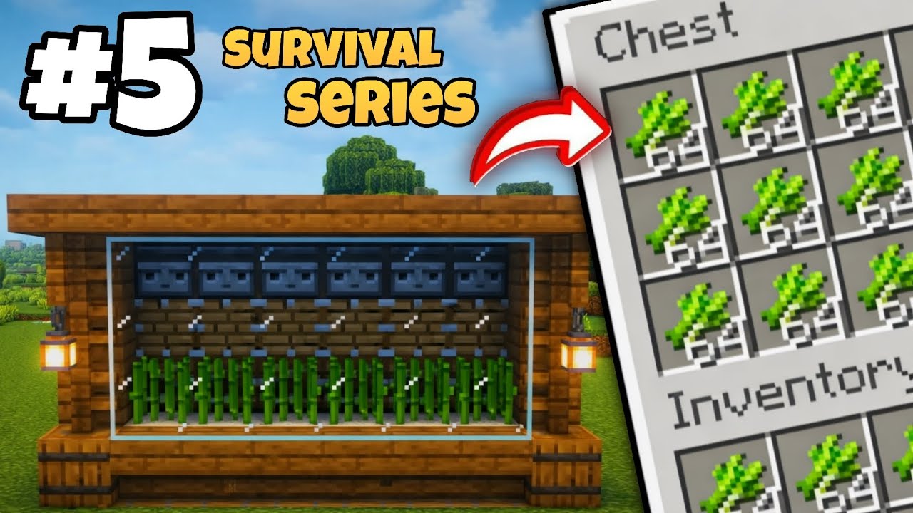 UNLIMITED SUGARCANE FARM 