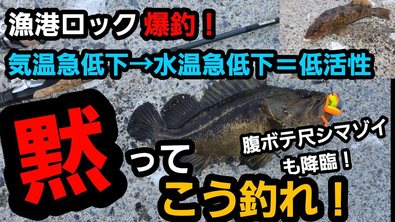  【道南釣り/ロックフィッシュ】人間が魚の気分に合わせたら爆釣した。