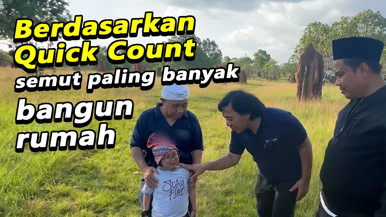 Berdasarkan Quick Count, semut paling banyak bangun rumah