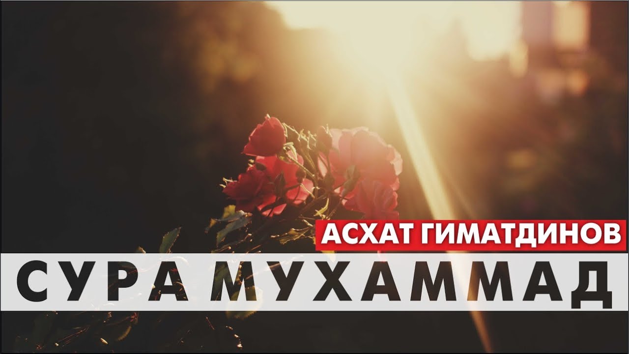 Сура 47-я Мухаммад. Асхат Гиматдинов
