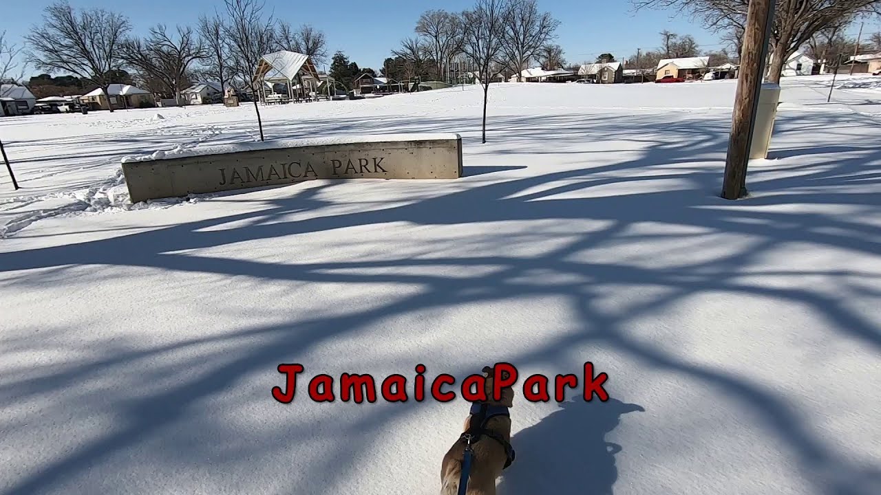 Jamaica Park in the Snow