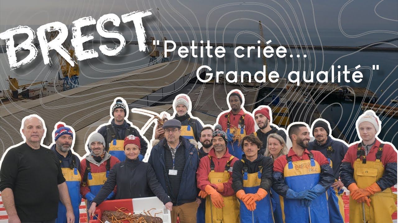 BREST: PETITE CRIÉE, GRANDE QUALITÉ