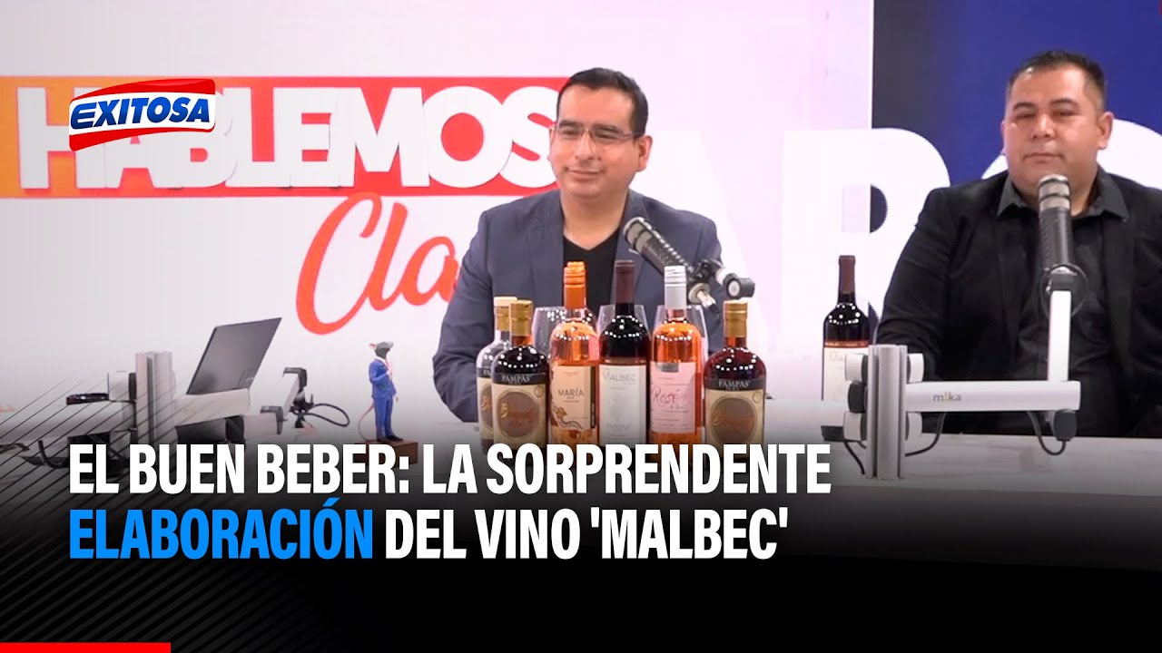 🔴🔵El Buen Beber: La sorprendente elaboración del vino 'Malbec' en la Pampa del Castillo