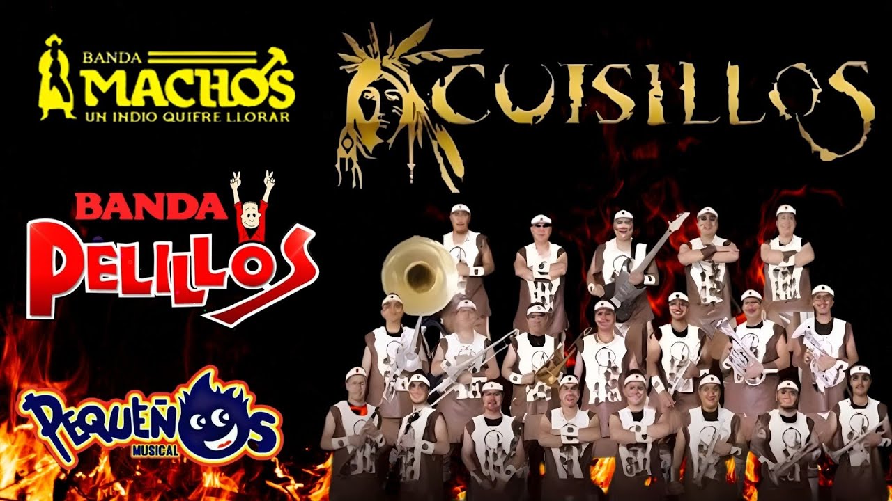 Machos, Cuisillos, Pequeños Musical, Maguey 💃 Bandas Viejitas Pero Bonitas Mix