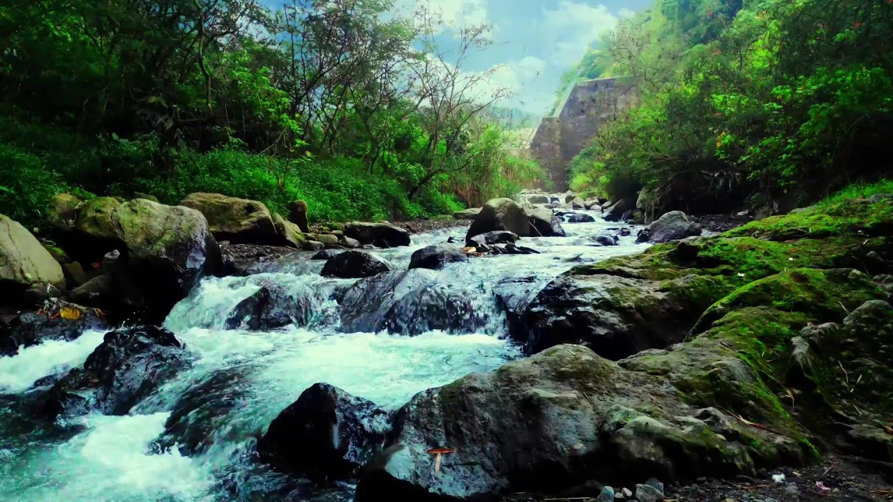 Calm River Flow Sound – Emotional Therapy to Soothe Stress and Sleep Deeply