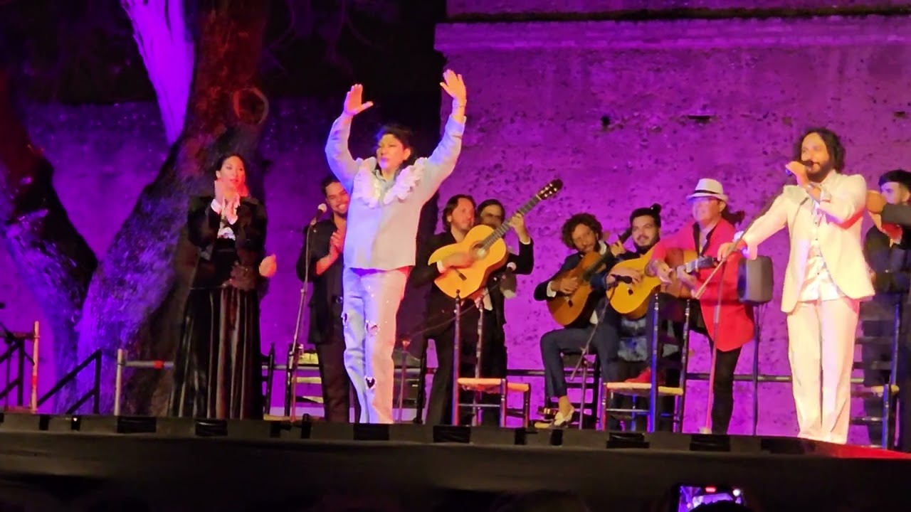 Manuela Carrasco en el fin de fiesta del valle gitano