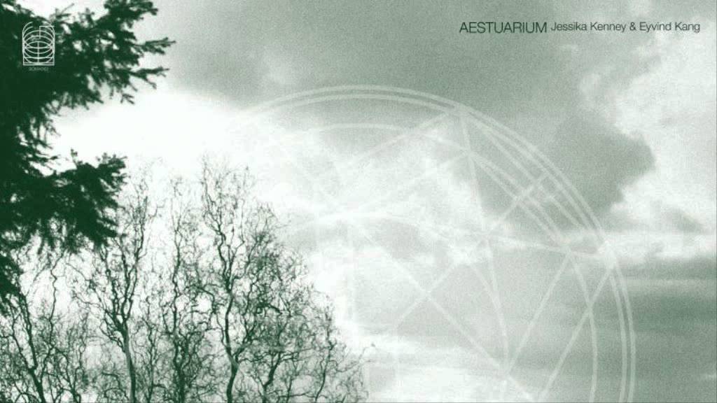 Jessika Kenney & Eyvind Kang | Aestuarium