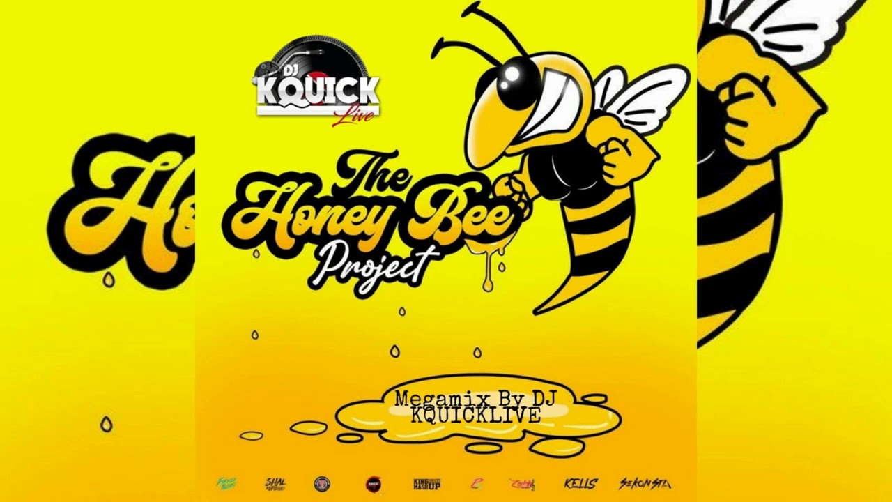The Honey Bee Project Mega Mix (2021 SOCA) - Problem Child