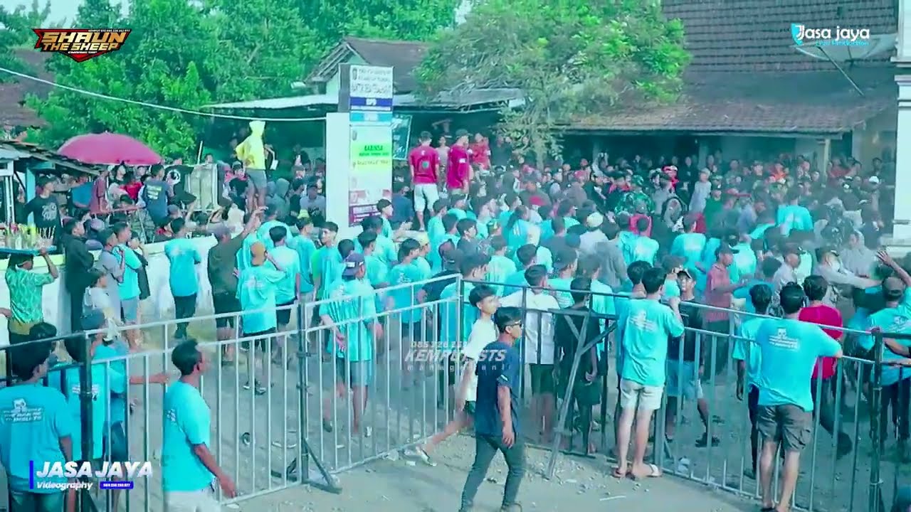 NGAMEN 10 TEMPO NAIK - SHAUN THE SHEEP - ANAK RANTAU PEMUDA PUTU JOYO BERSATU - TEGALHARJO TRANGKIL