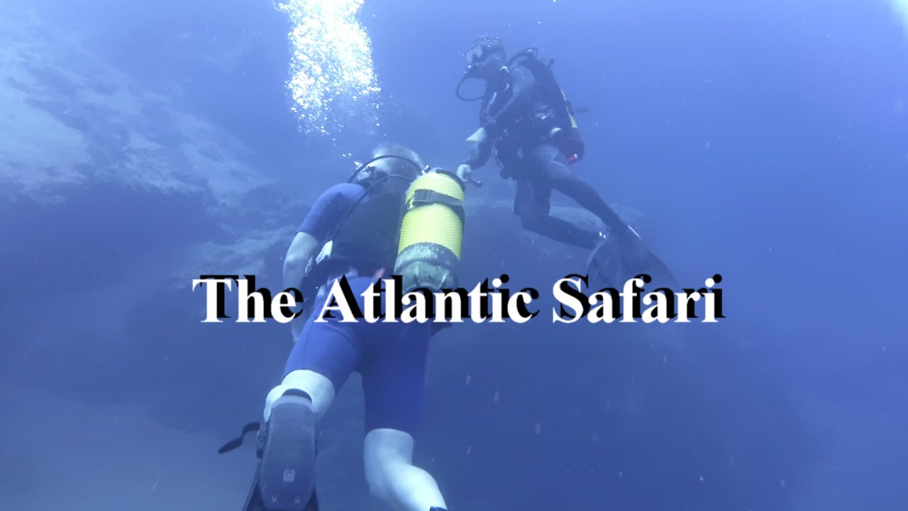 Lanzarote scuba diving , The Atlantic Safari , dive 1 , july 2023.