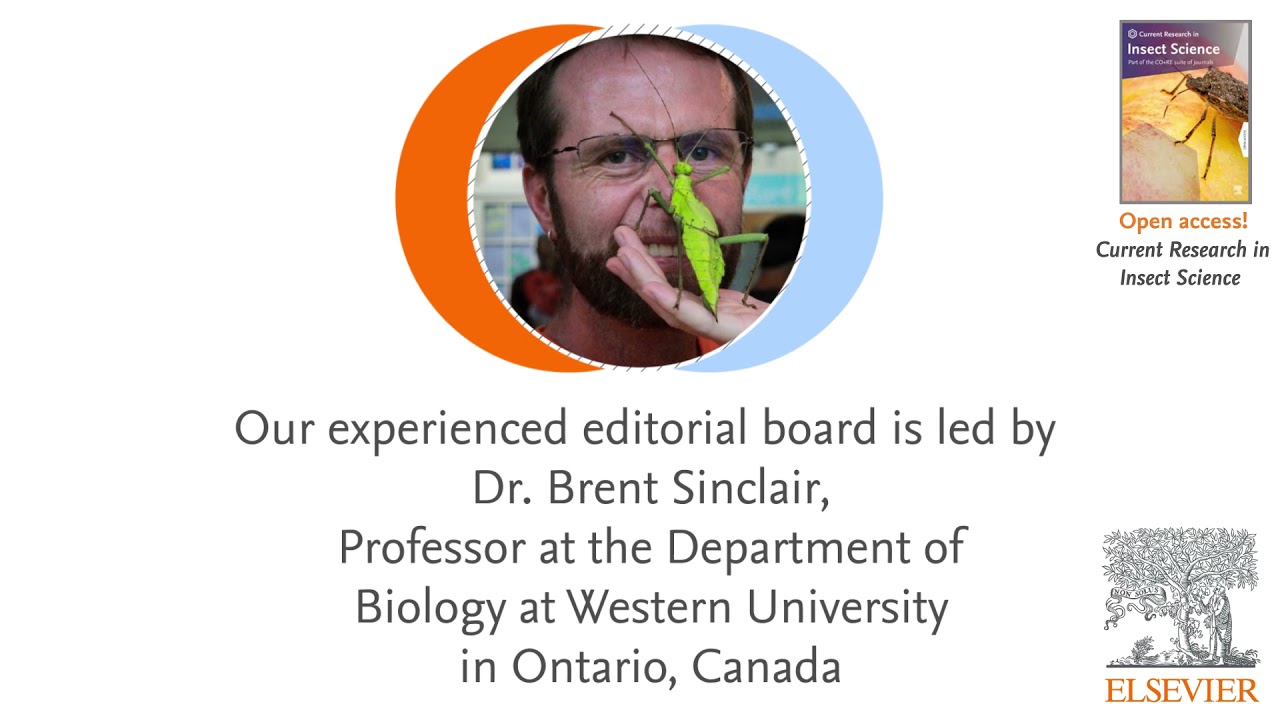 Current Research in Insect Science