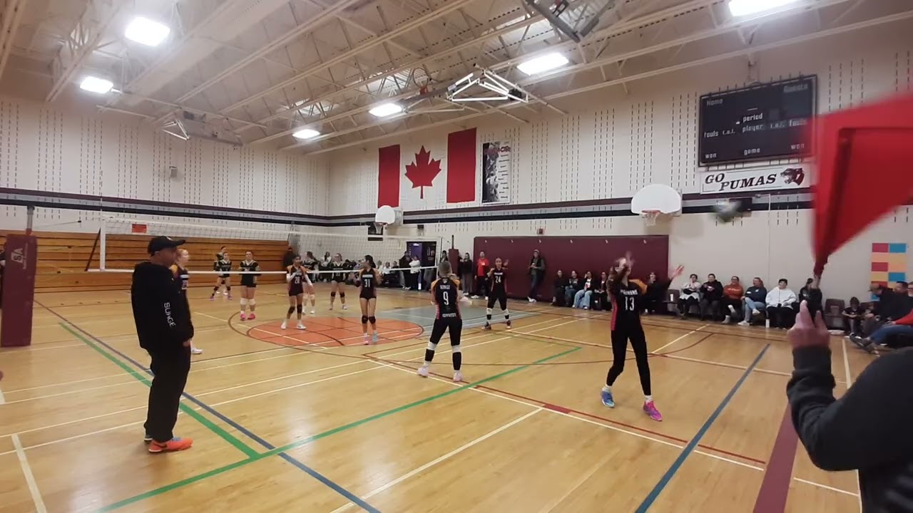 Surge vs Dinos set2