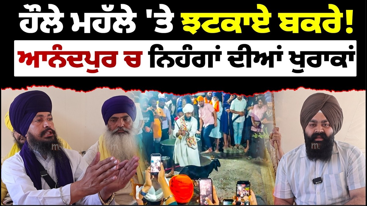 ਆਨੰਦਪੁਰ ਚ ਨਿਹੰਗਾਂ ਦੀਆਂ ਖੁਰਾਕਾਂ l MITTI
