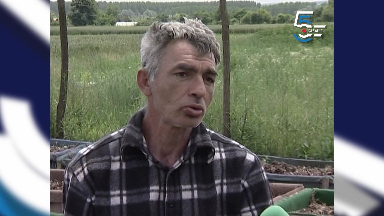 Bata Glista - zna šta gliste misle