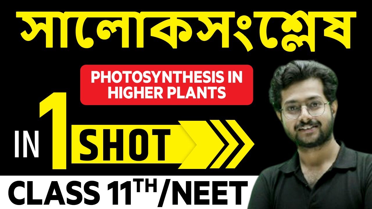 সালোকসংশ্লেষ in 1 Shot || Photosynthesis in Higher Plants in Bangla || Class 11th/NEET