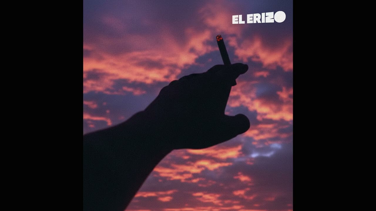 El erizo - Trincheras (Boom Bap Lo-Fi Instrumental Beat)