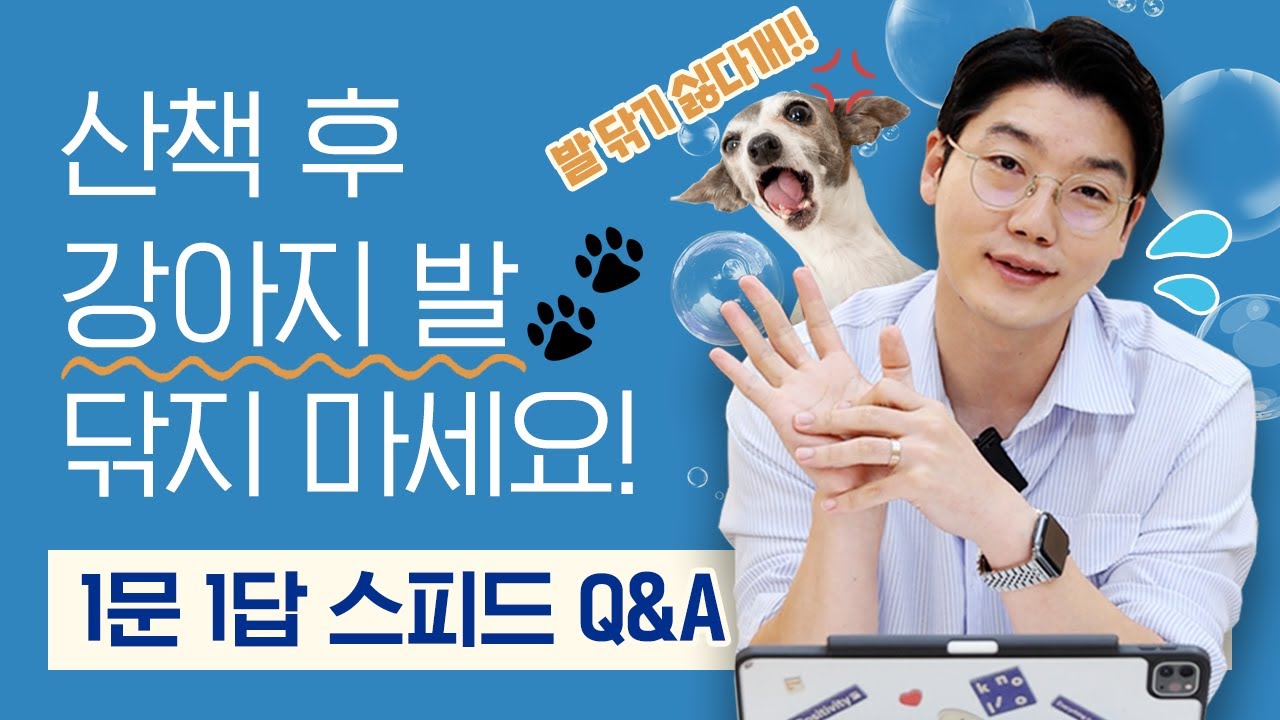 산책 후 최적의 발닦기 방법이 있다고요? 🐾  l 1문 1답 Q&A l 설채현 행동학 수의사